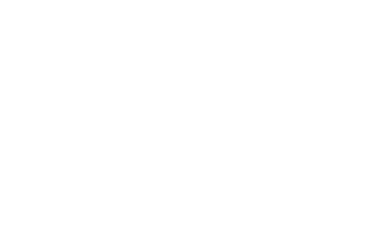 年間取り扱い件数