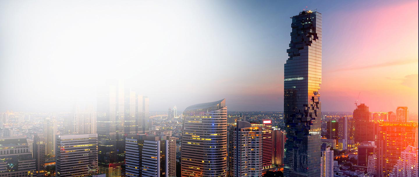 世界の言語サービス会社ランキング 日本国内売上高 第1位