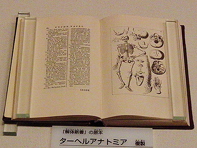 「ターヘル・アナトミア」(複製)国立科学博物館の展示